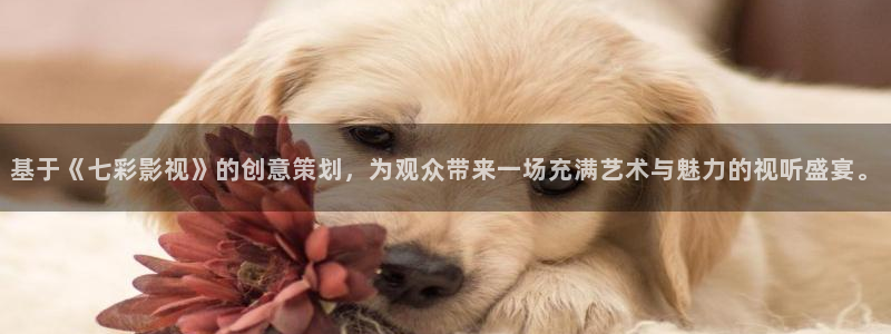 麦田映像：基于《七彩影视》的创意策划，为观众带来一场充满艺术与魅力的视听盛宴。