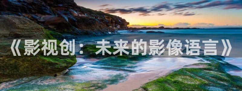 麦田影院官网：《影视创：未来的影像语言》