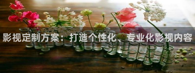麦田影院app：影视定制方案：打造个性化、专业化影视内容