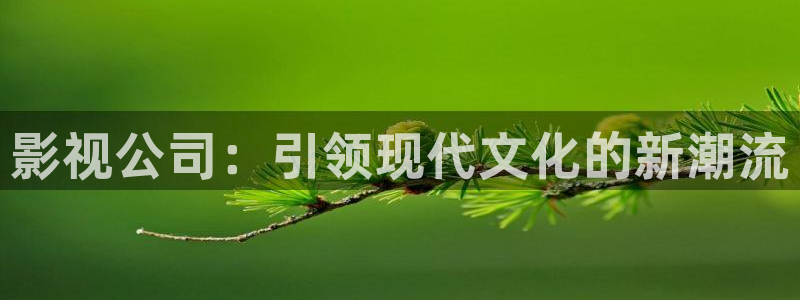 麦田影视app官方入口：影视公司：引领现代文化的新潮流