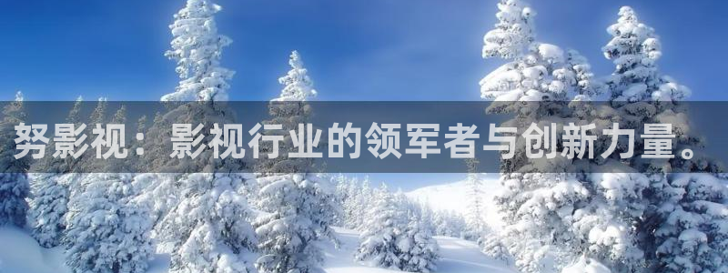 麦田视觉摄影怎么样：努影视：影视行业的领军者与创新力量。