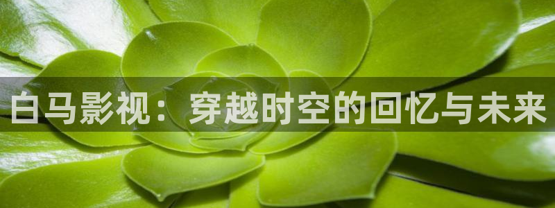 麦田北京：白马影视：穿越时空的回忆与未来
