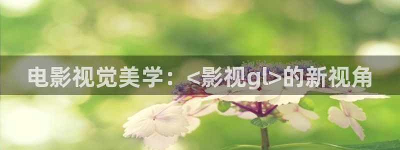 麦田 电影：电影视觉美学：<影视gl>的新视角