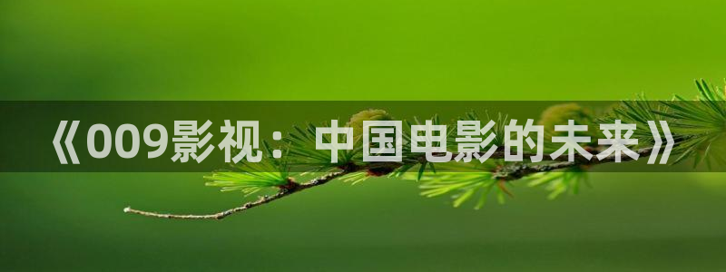 石家庄麦田汽车电影院：《009影视：中国电影的未来》